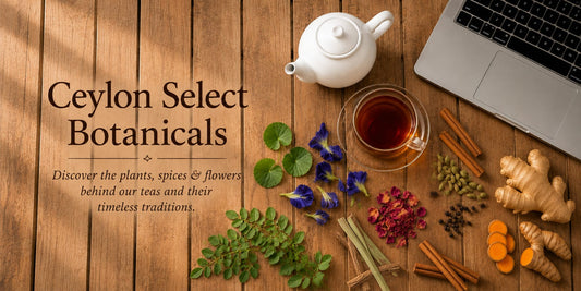 The Joy of Tea Infusion